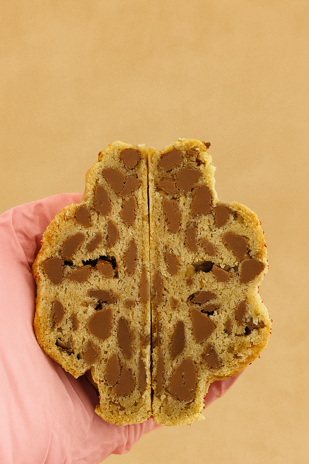 Chocolate Chip Classic | Soft-Center Gourmet Cookie